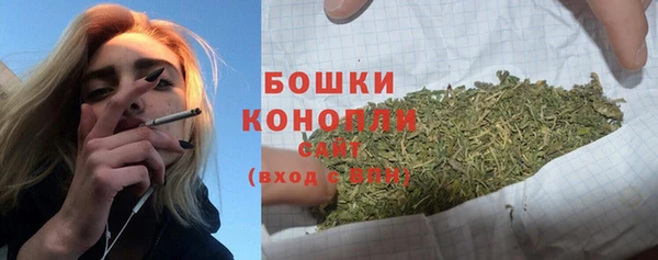 альфа пвп Елизово