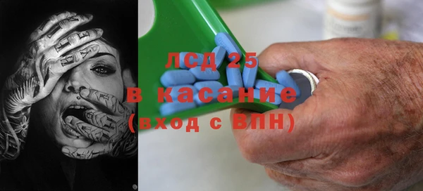 дживик Елабуга
