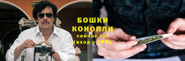 дживик Елабуга