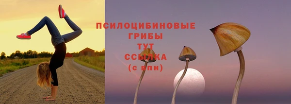 дживик Елабуга