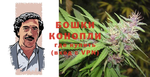 альфа пвп Елизово