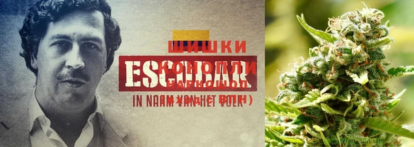 дживик Елабуга