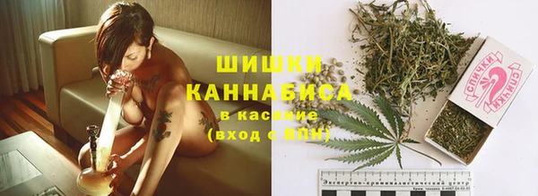 альфа пвп Елизово