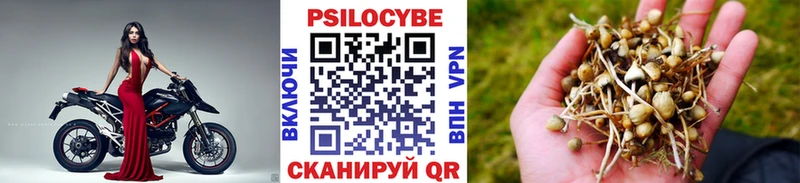 Галлюциногенные грибы Cubensis  Купить  Апрелевка 